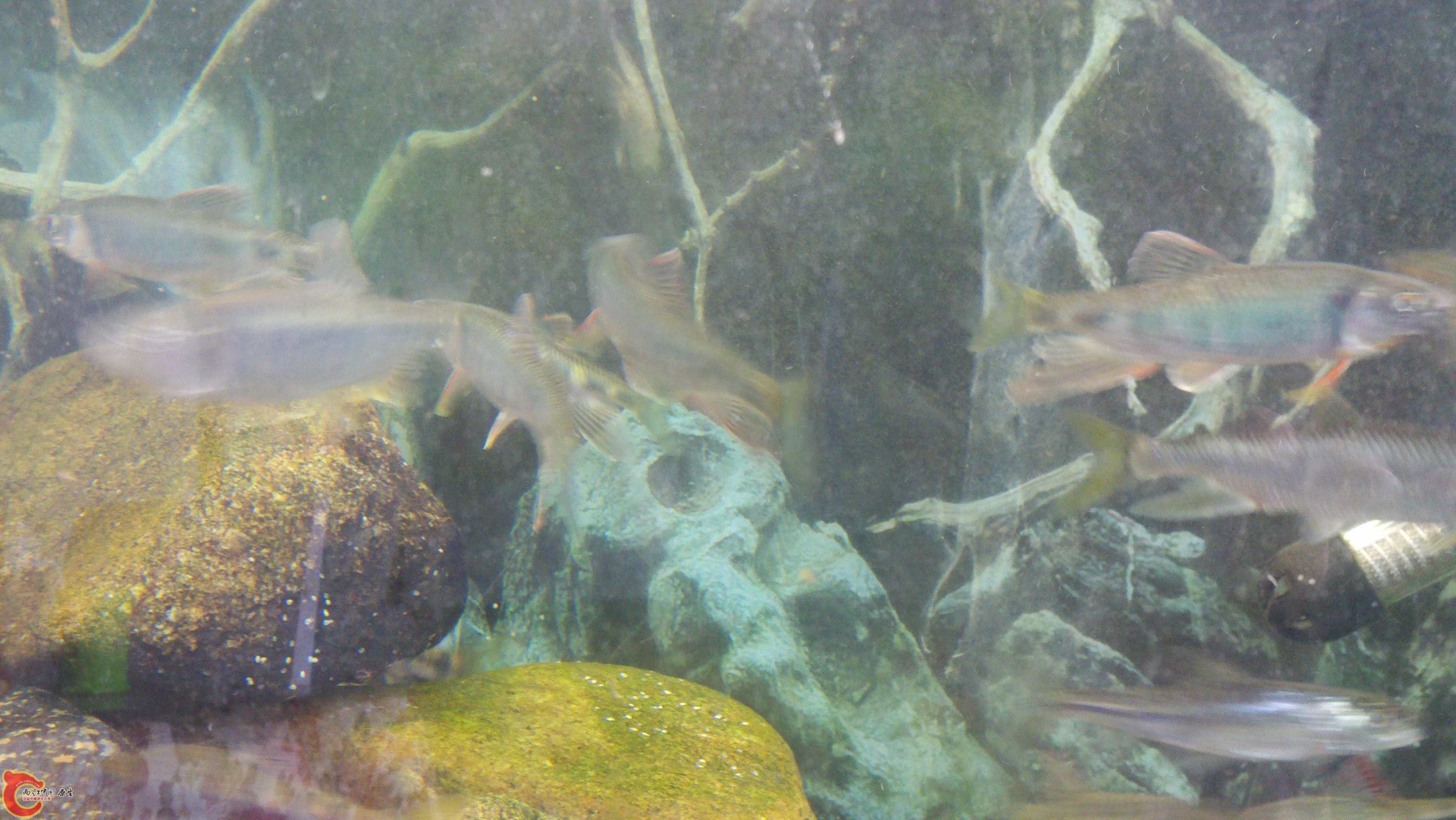 2011-08-21_15-33-37_83.jpg