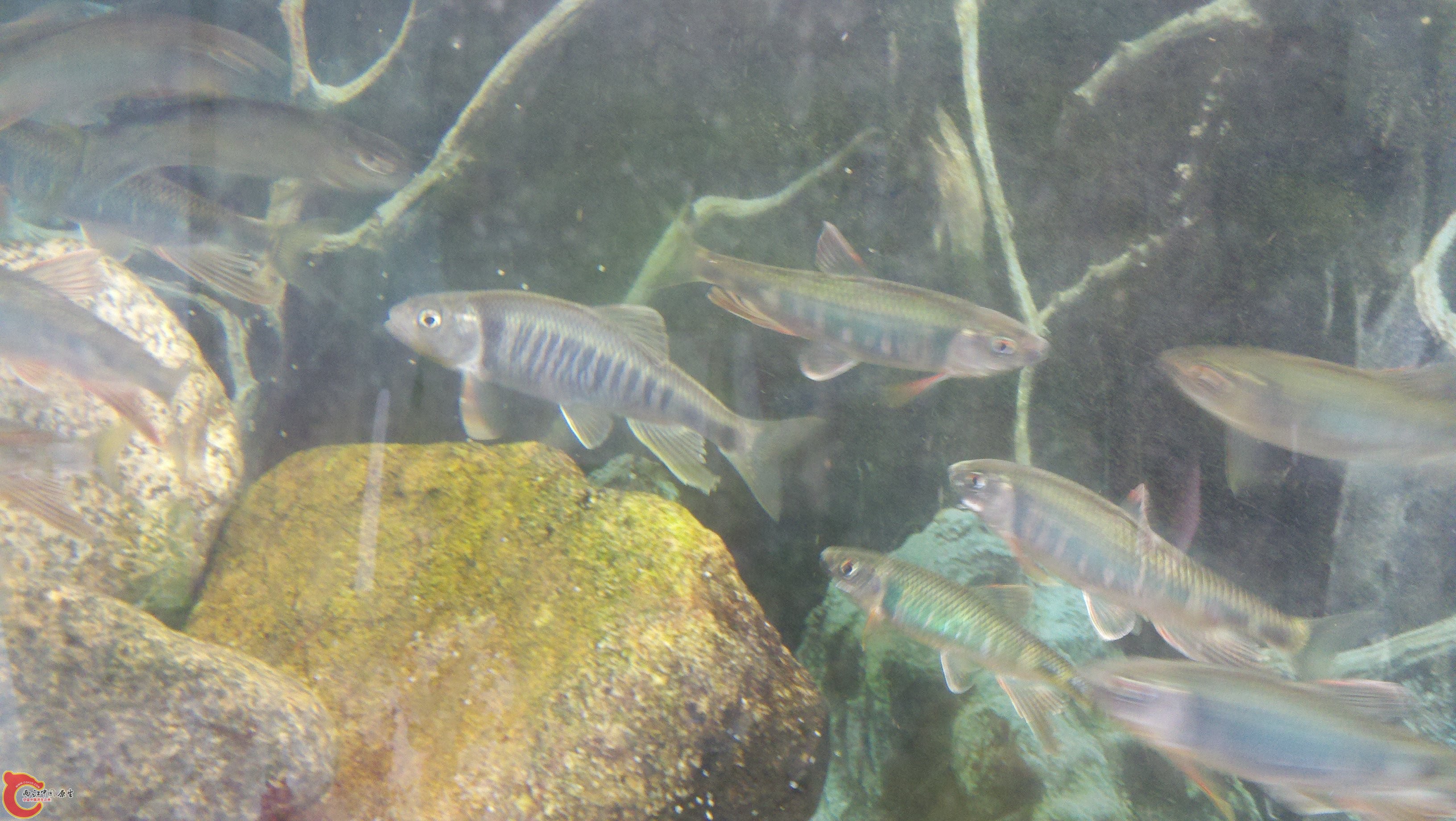 2011-08-21_15-34-09_380.jpg
