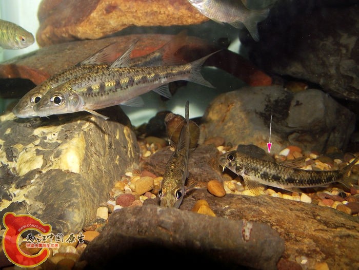 DSCF6578.jpg