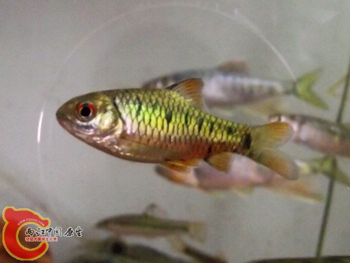 DSCF6587.jpg