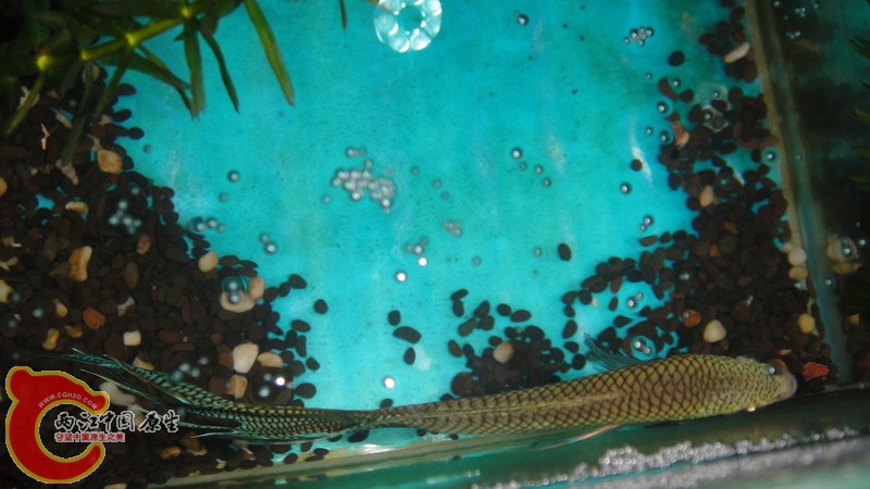 DSC06510_缩小大小.JPG