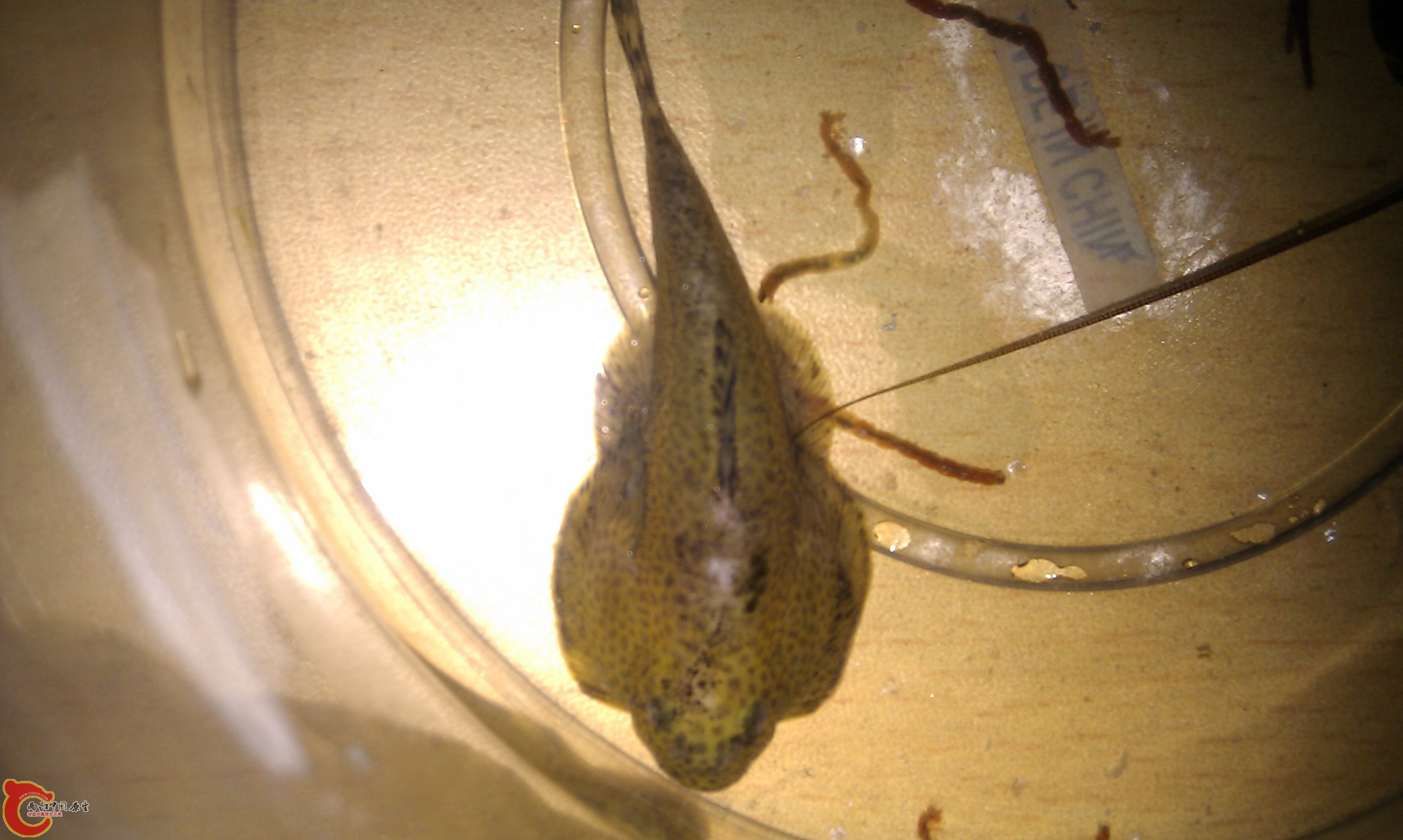 IMAG0158.jpg