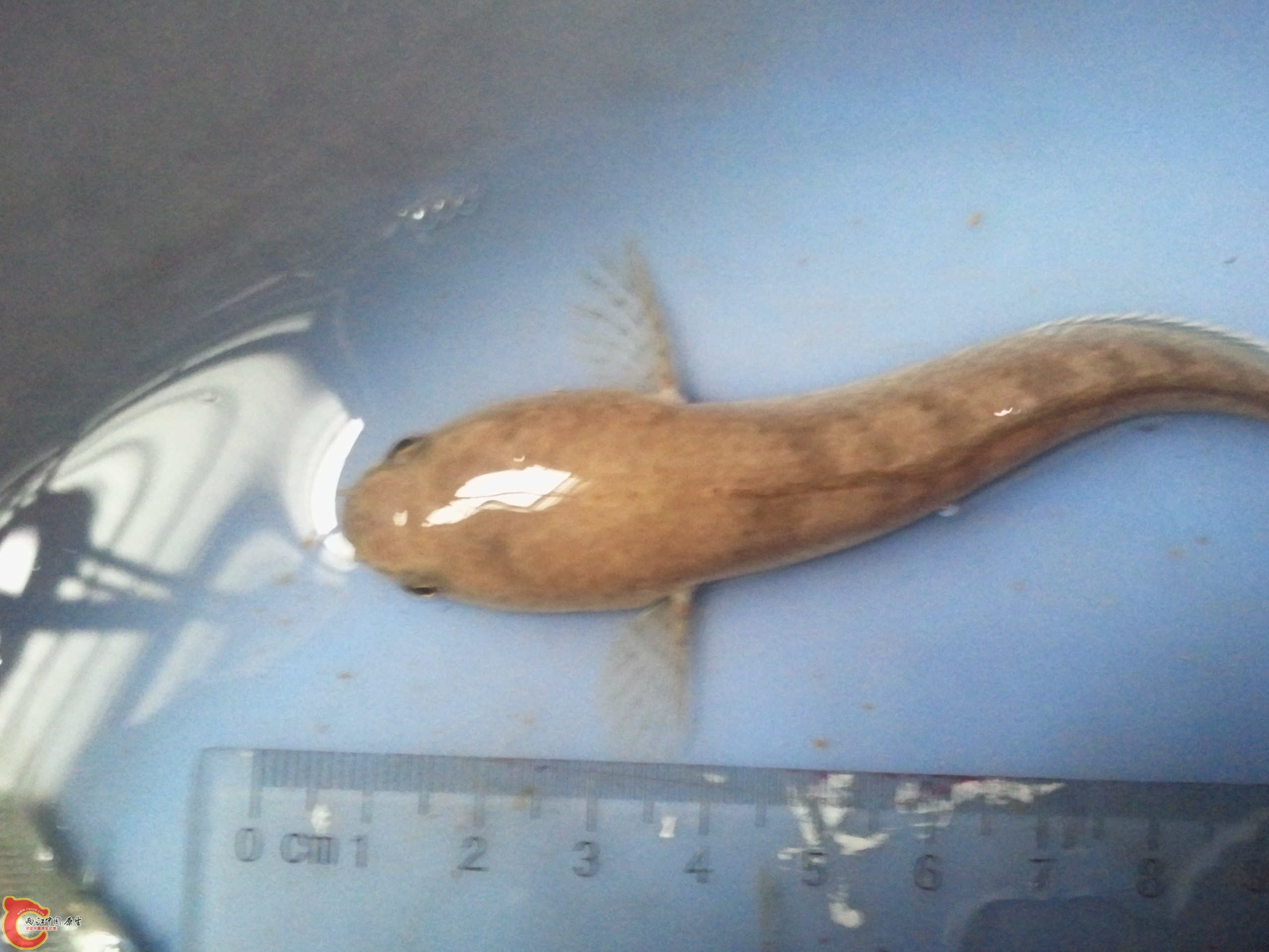 2011-08-25 17.57.16.jpg