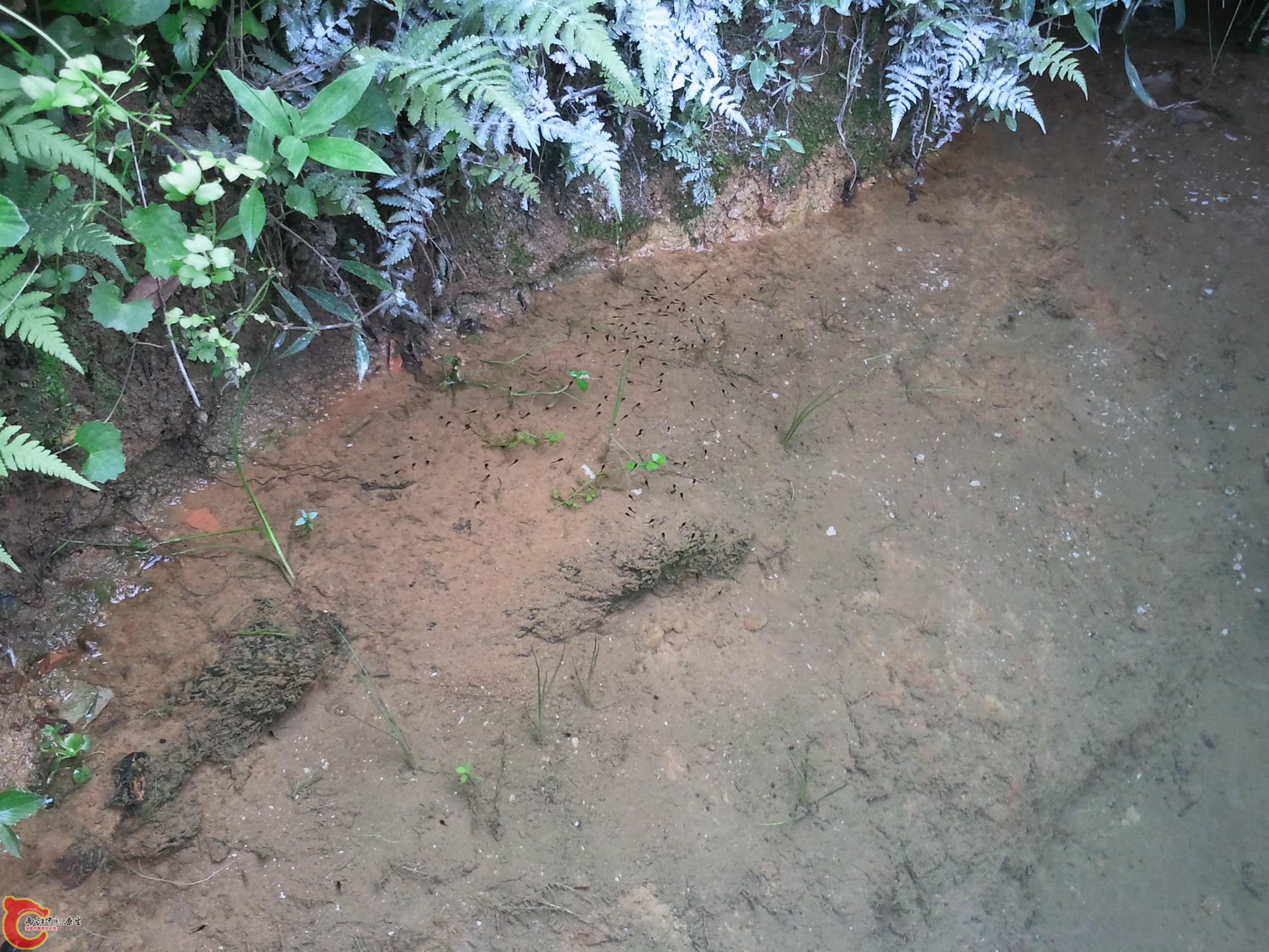 2011-08-25 15.33.21.jpg