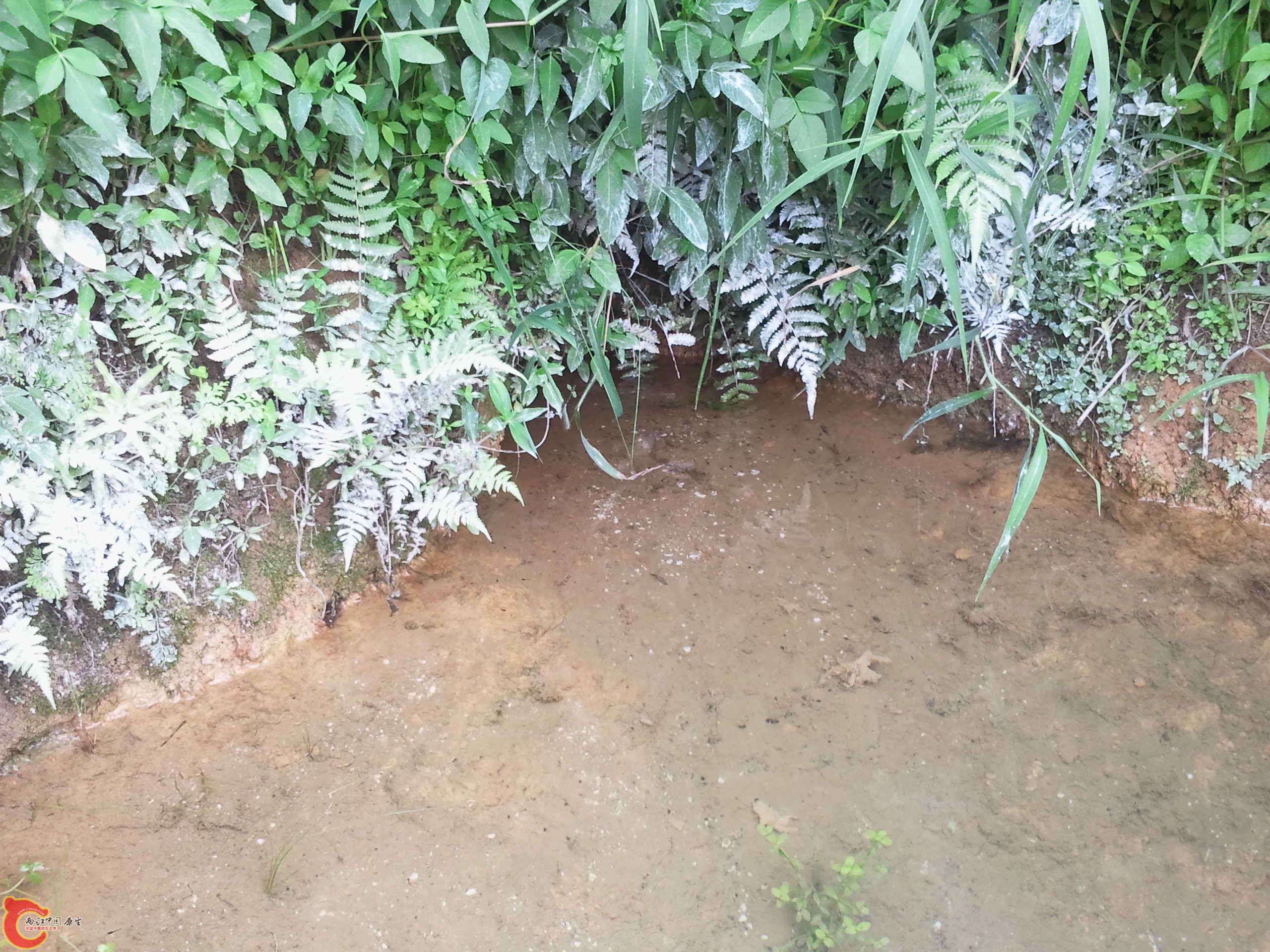 2011-08-25 15.35.13.jpg