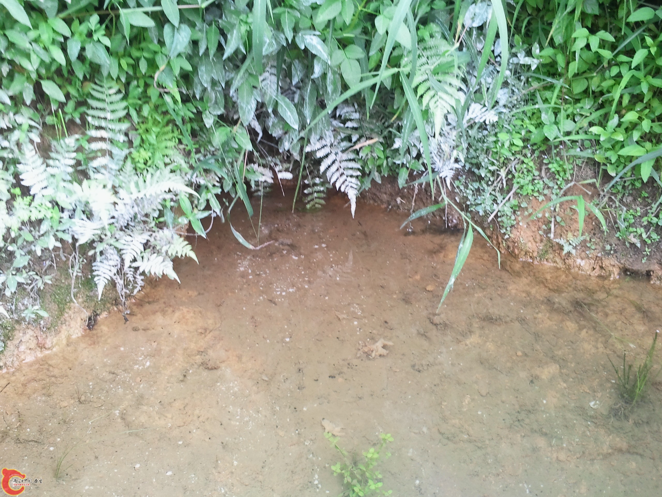 2011-08-25 15.35.19.jpg