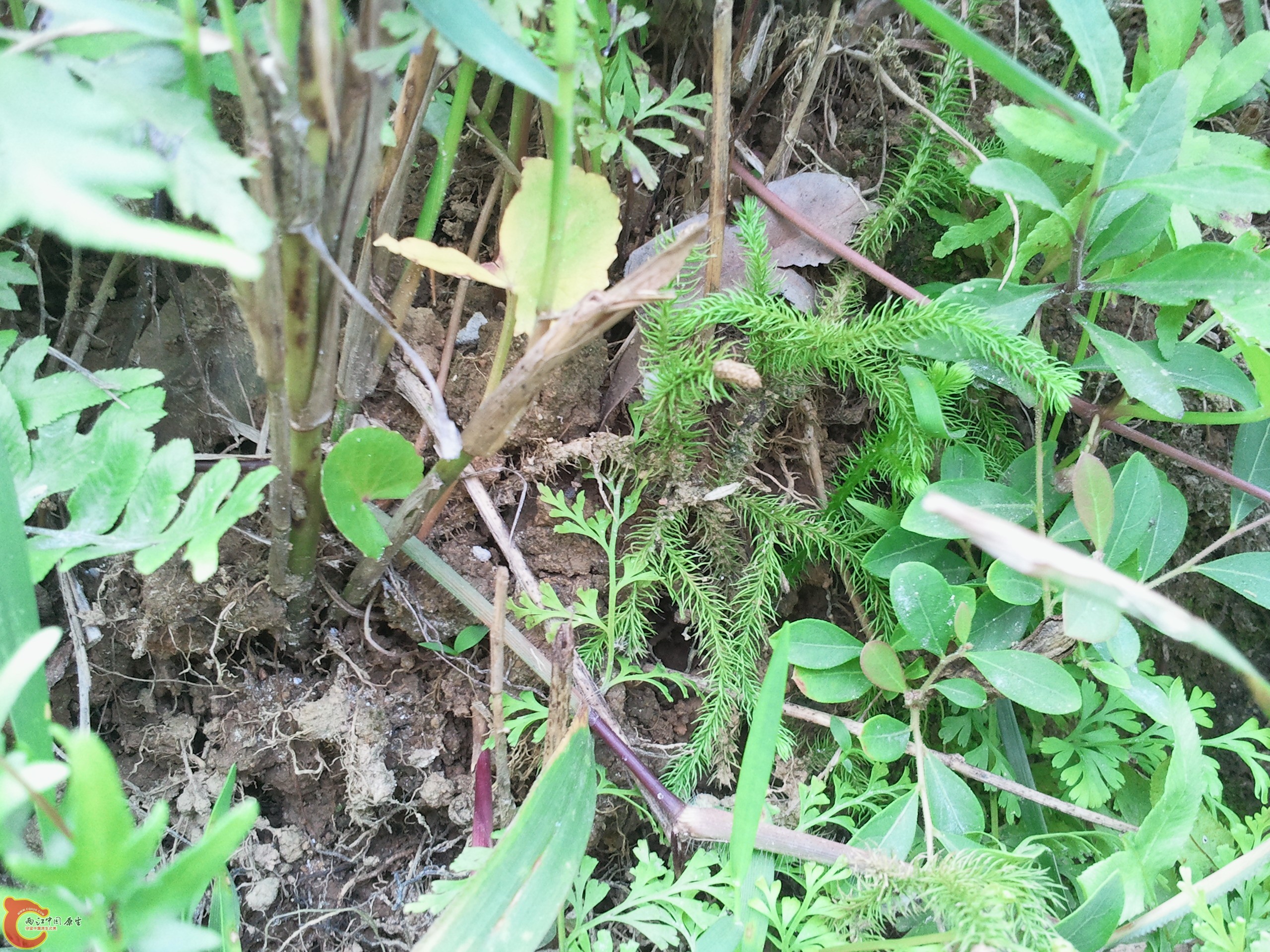2011-08-25 15.41.37.jpg