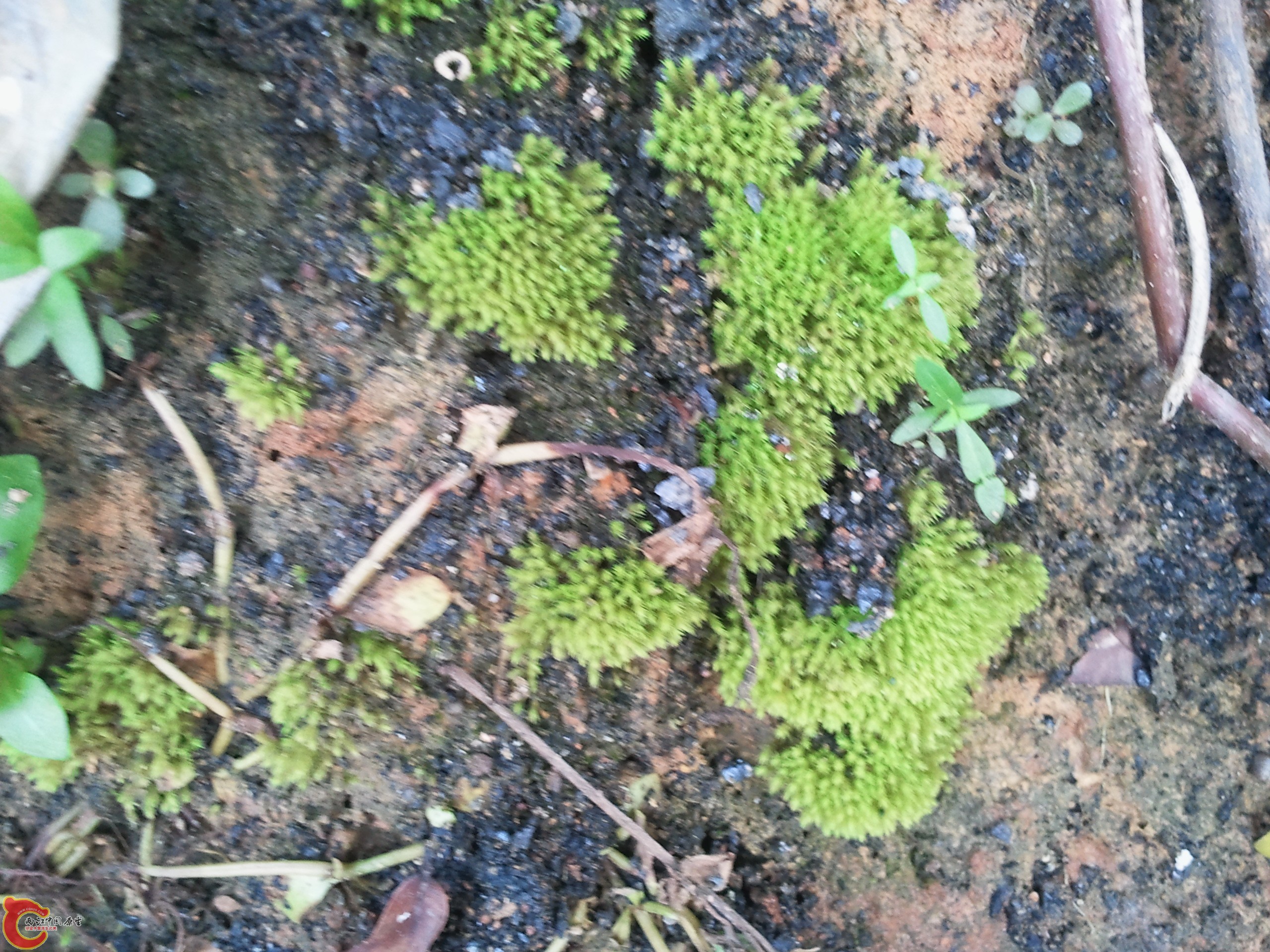 2011-08-25 15.45.12.jpg