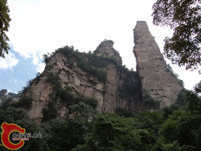 dsc01395_副本.jpg