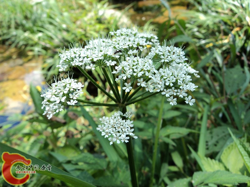 DSC01381_副本.jpg