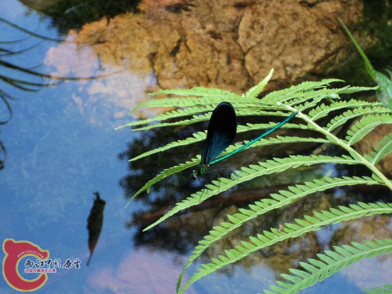 dsc01389_副本.jpg