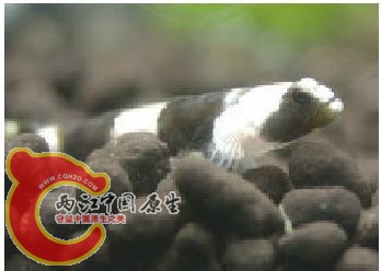未命名.JPG