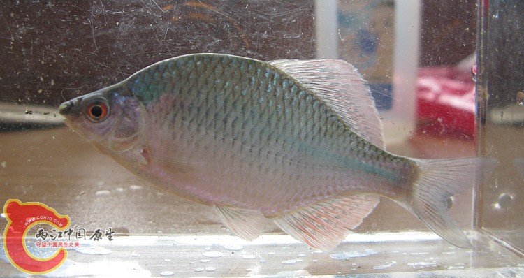 zIMG_4112.jpg