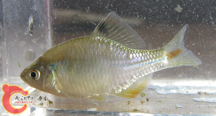 zIMG_4144.jpg