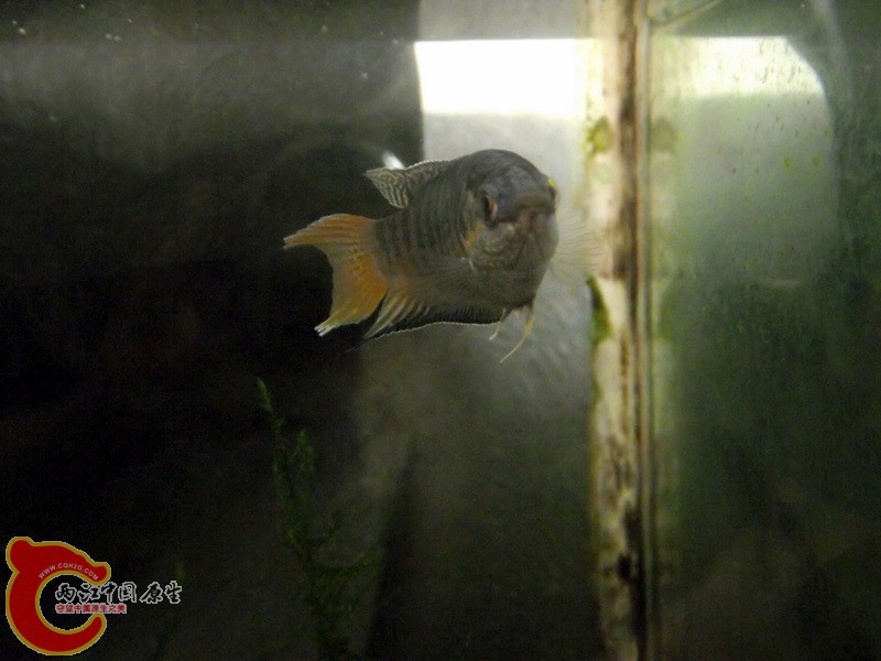 DSCF1739.JPG