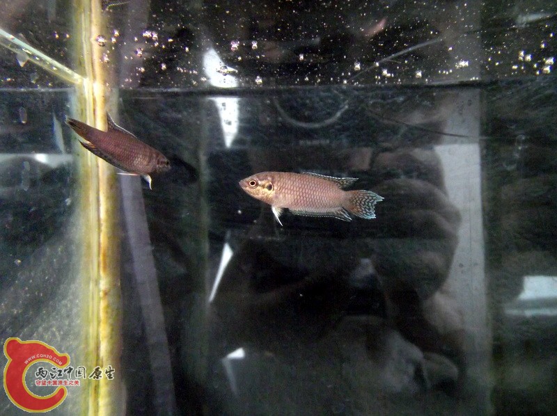 DSCF1760.JPG