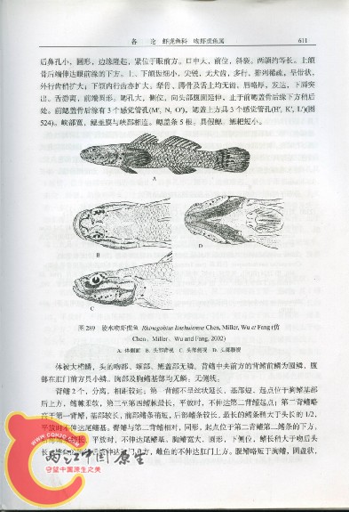 陵水-2.jpg