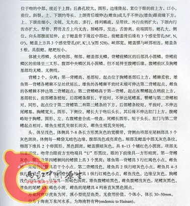 万泉河吻-2.jpg