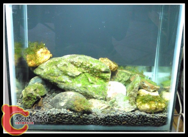 调整大小 DSC03393.JPG