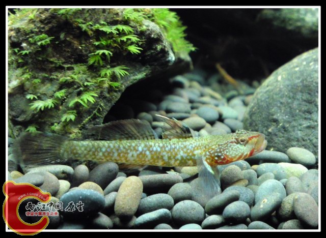 调整大小 DSC03399.JPG