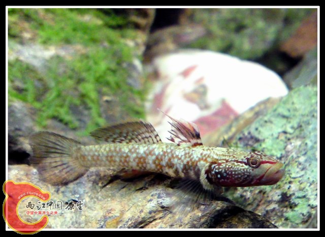 调整大小 DSC03402.JPG