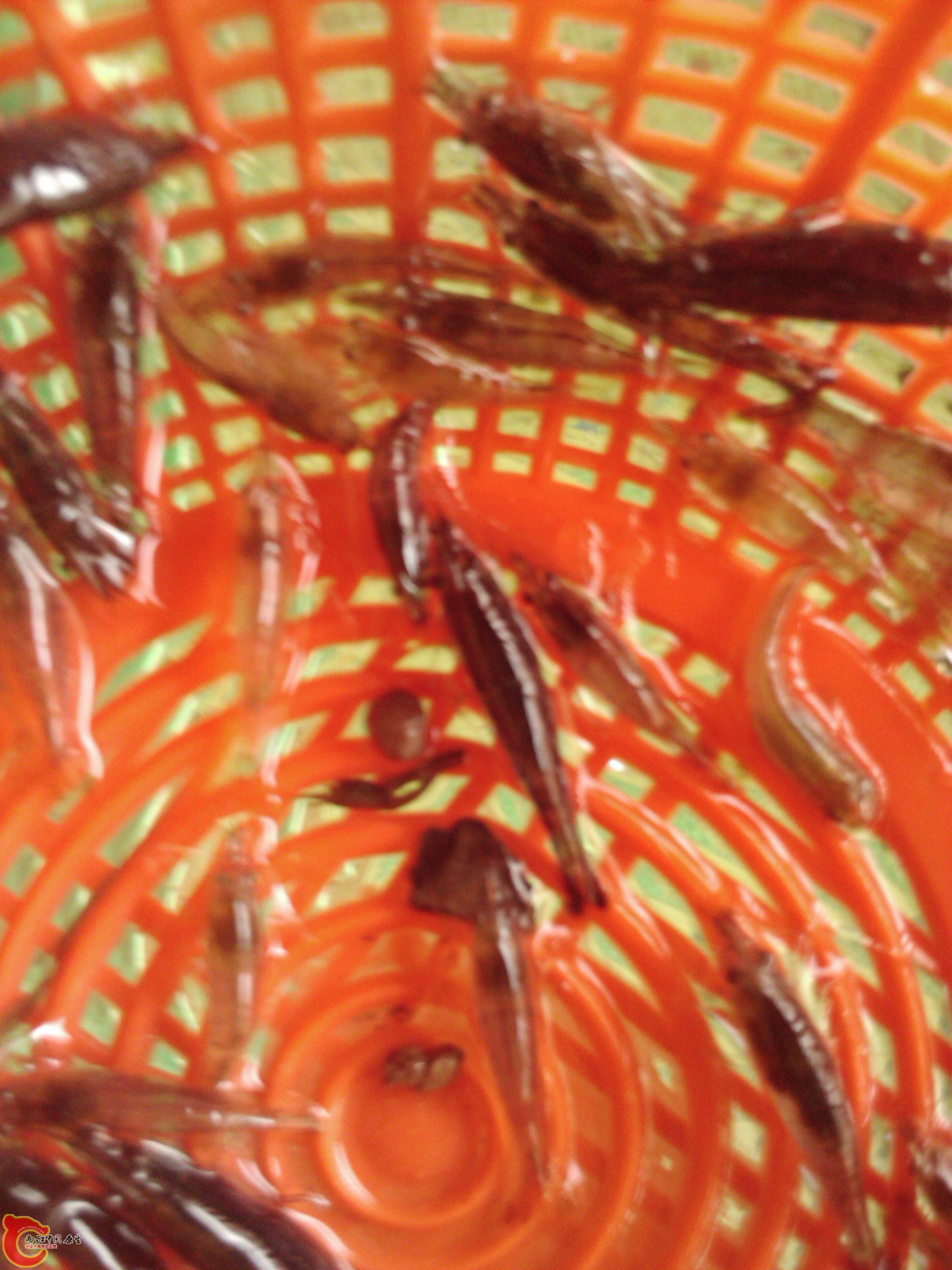 2011-09-01 15.10.17.jpg