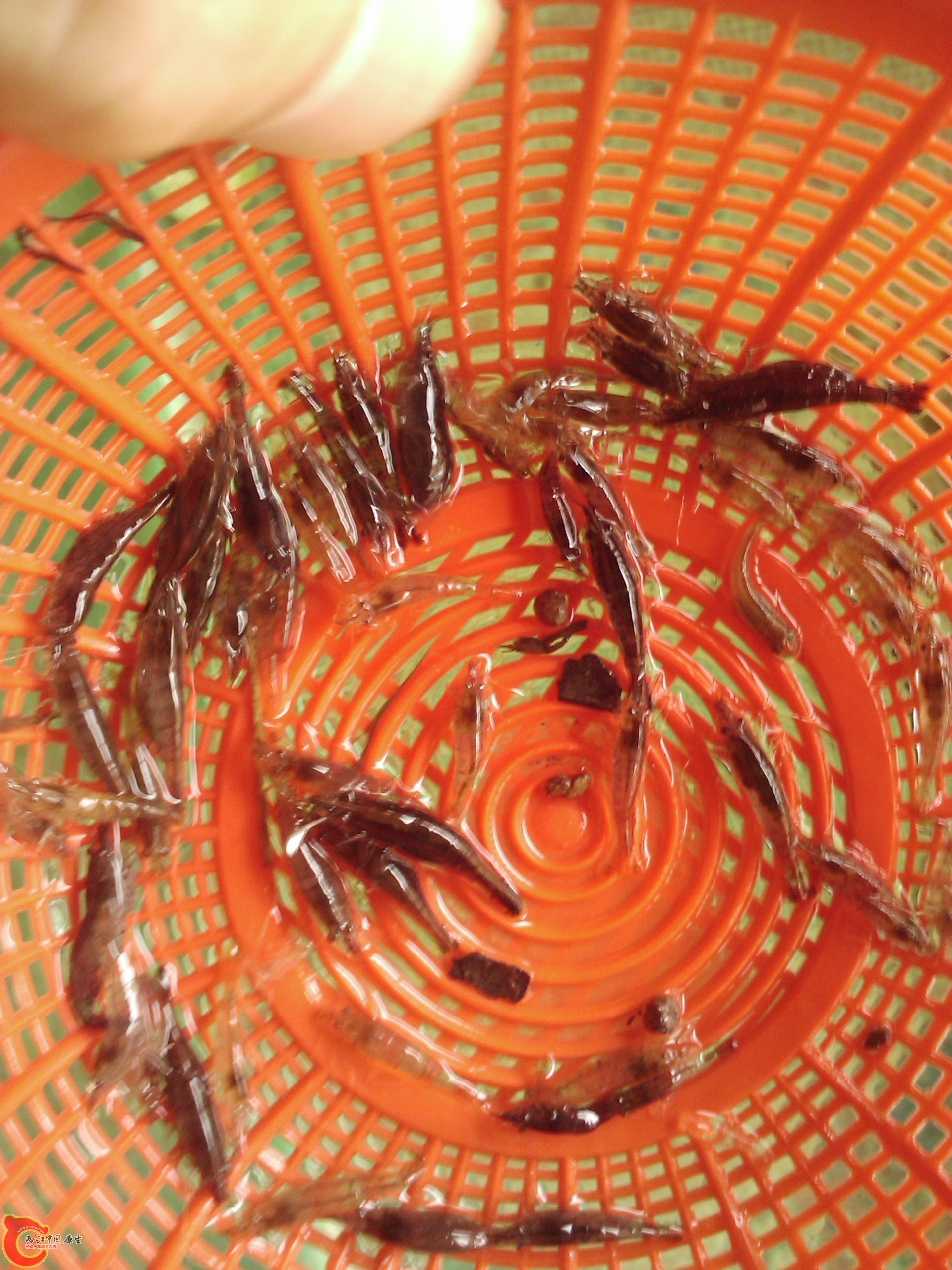 2011-09-01 15.10.24.jpg