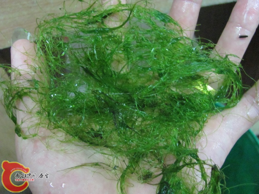 未命名1.jpg