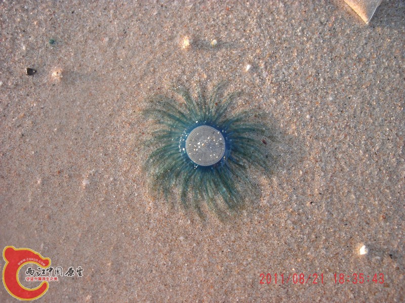 gedc5297_副本.jpg