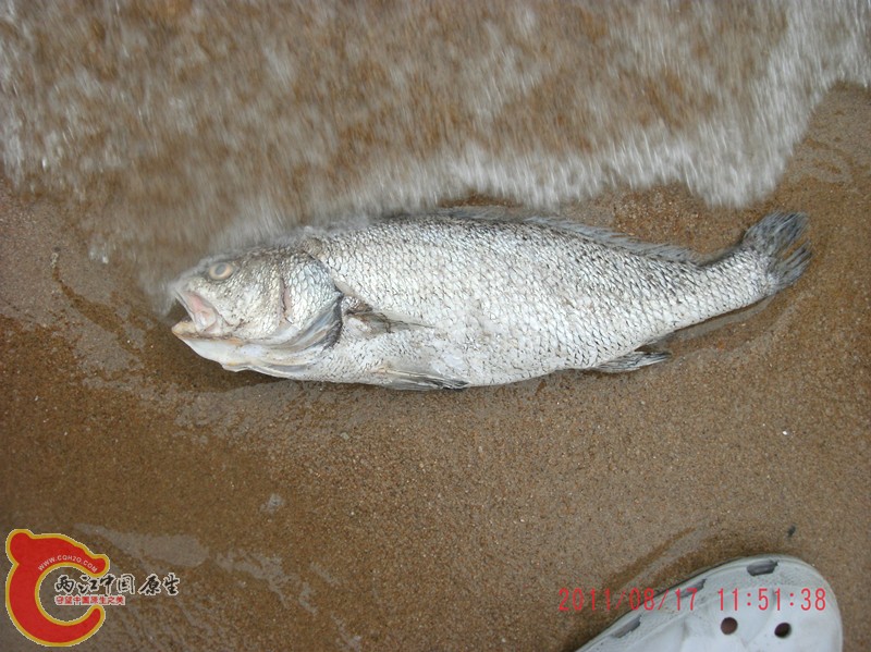 gedc4791_副本.jpg