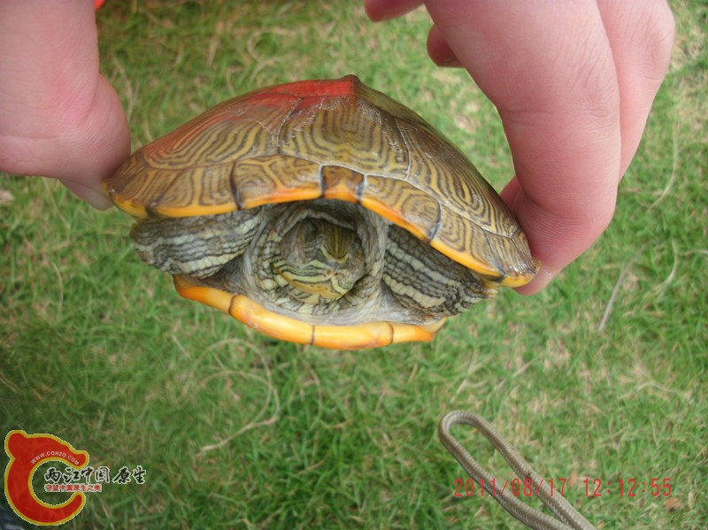 gedc4815_副本.jpg