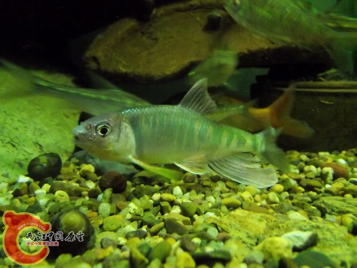 DSCF6869.JPG