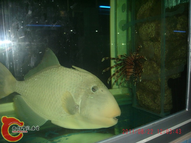 gedc5438_副本.jpg