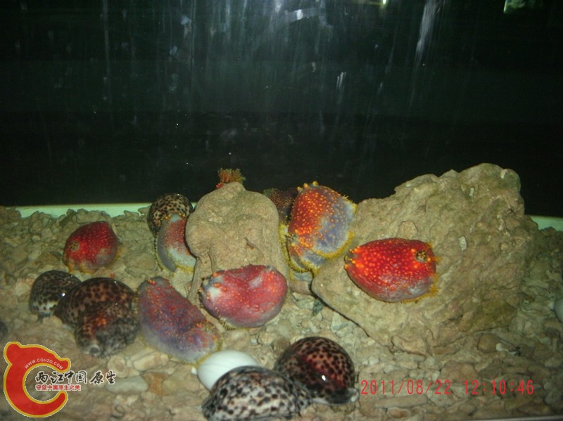 gedc5462_副本.jpg