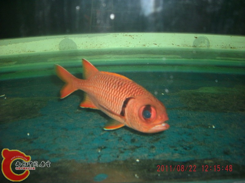 gedc5481_副本.jpg