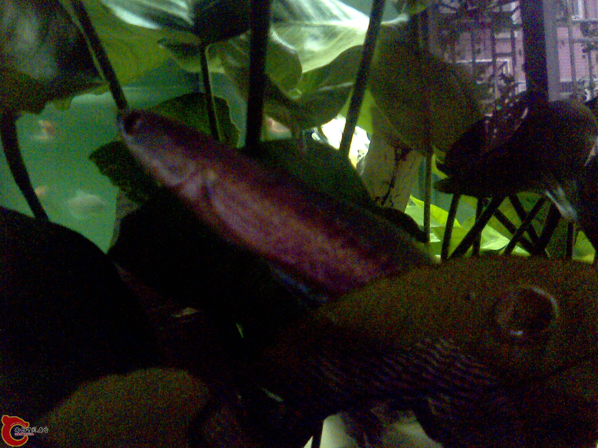 IMG0621A.jpg