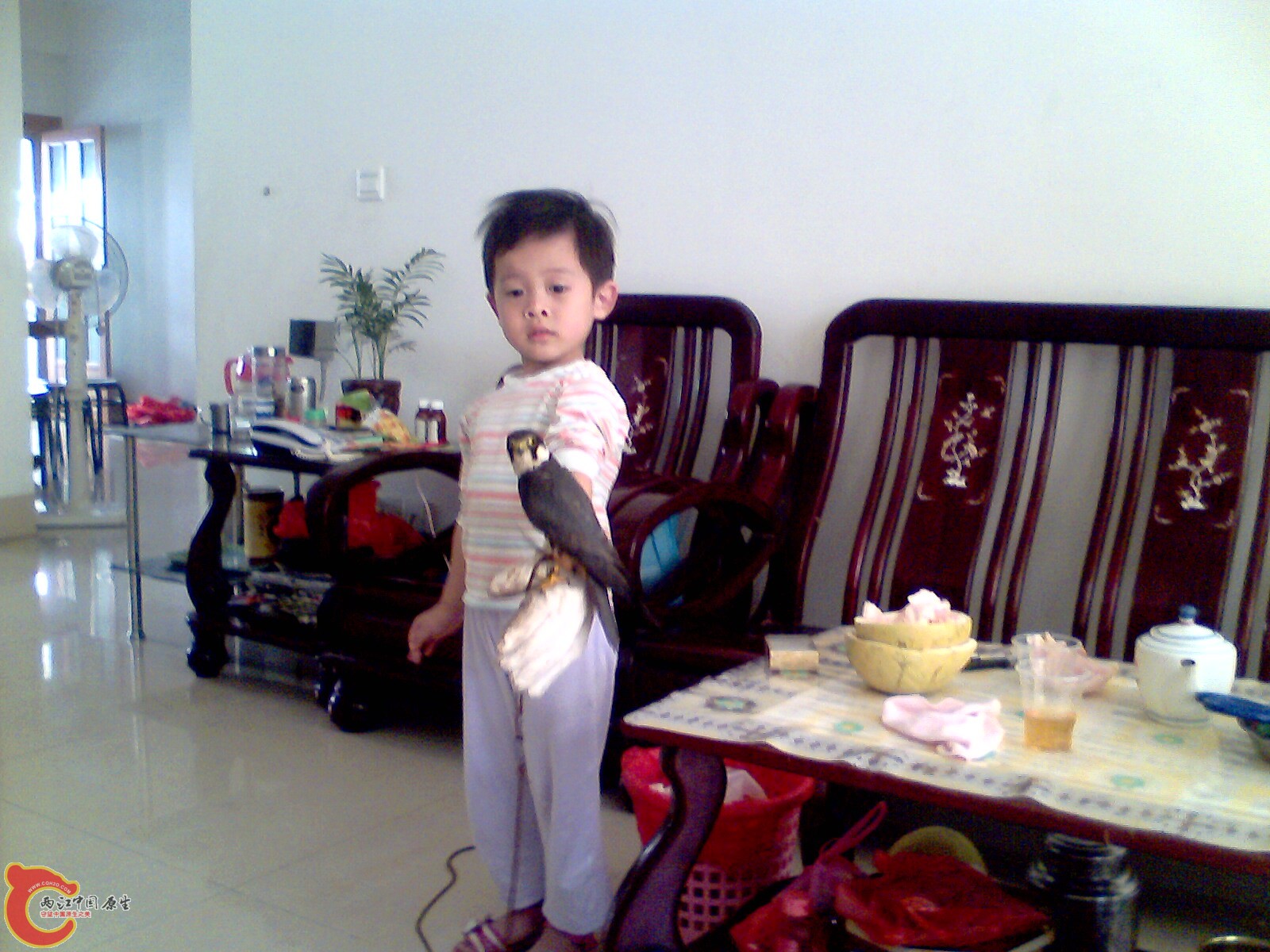 IMG0424A.jpg