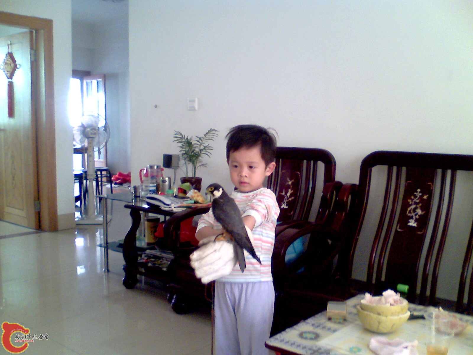 IMG0425A.jpg