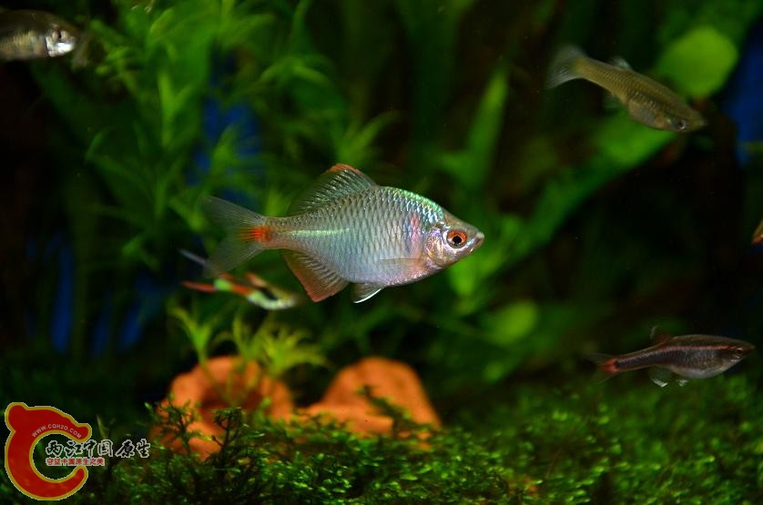 DSC_1739.JPG