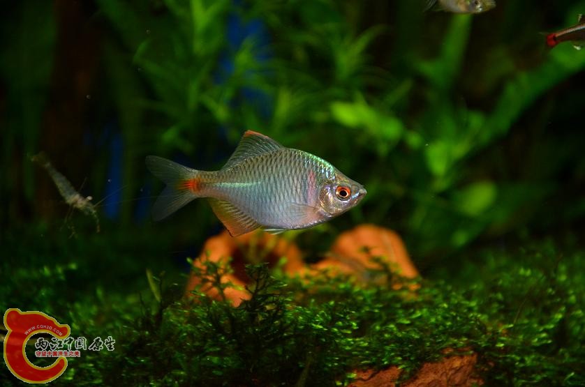 DSC_1757.JPG