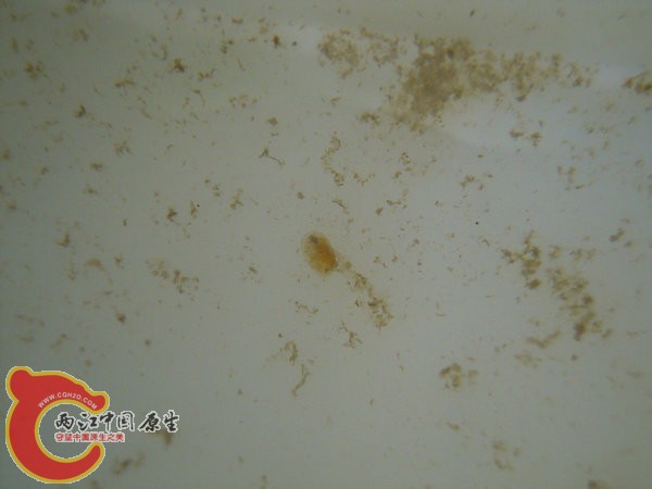 DSCN0350.jpg
