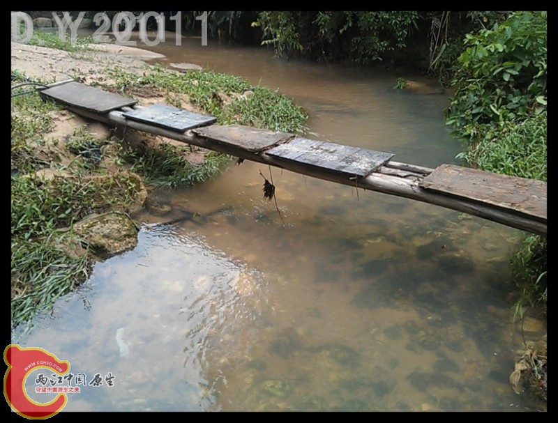 conew_conew_conew_c360_2011-09-03 10-14-51.jpg
