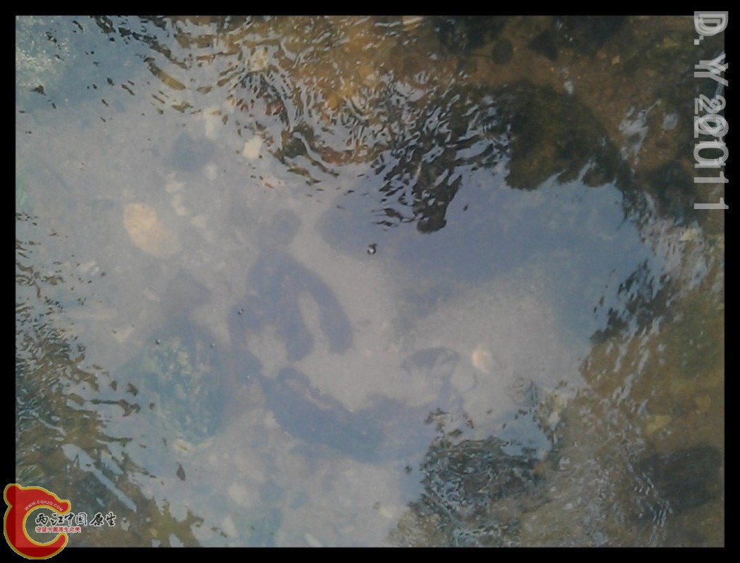 conew_conew_conew_c360_2011-09-03 10-15-00.jpg