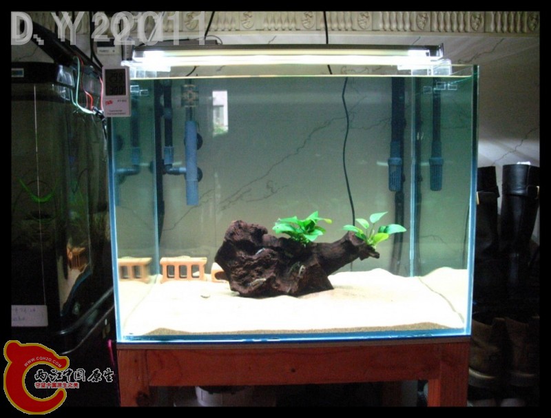 conew_conew_conew_胡子的最爱 014.jpg