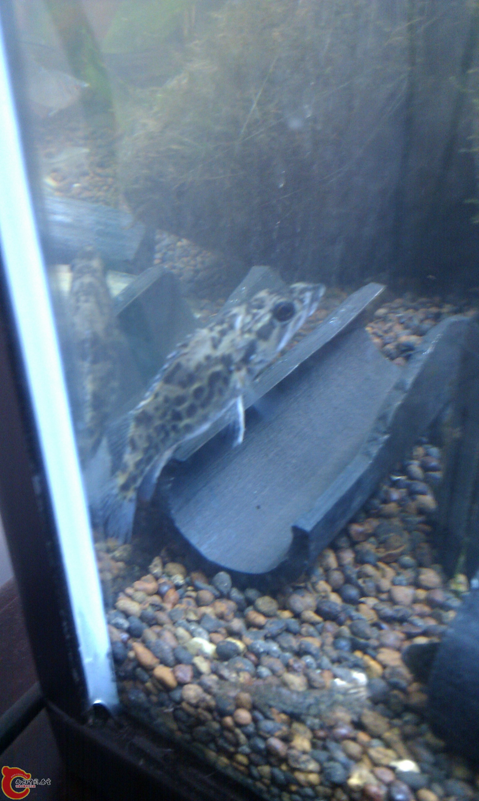 IMAG0171.jpg