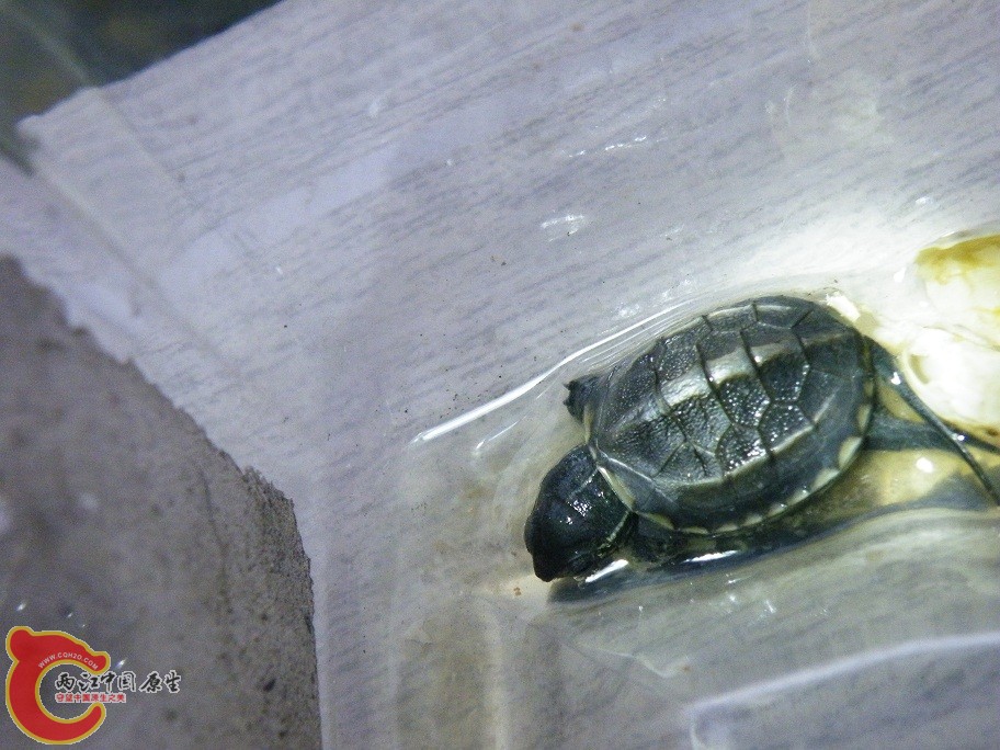 DSCF6353.JPG