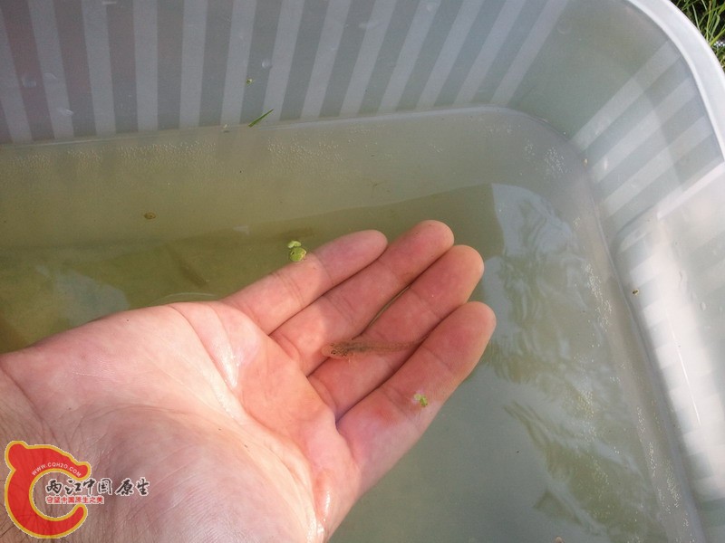 2011-09-03 16.07.25.JPG