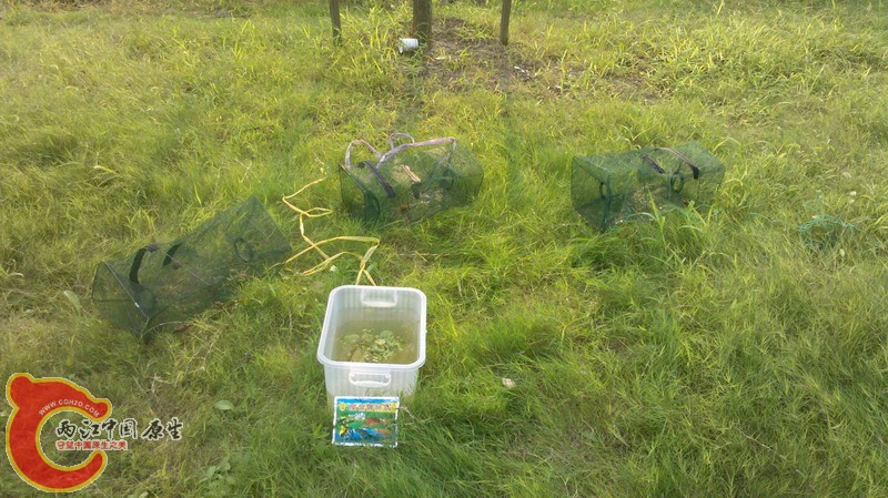 2011-09-03_16-44-10_326.JPG