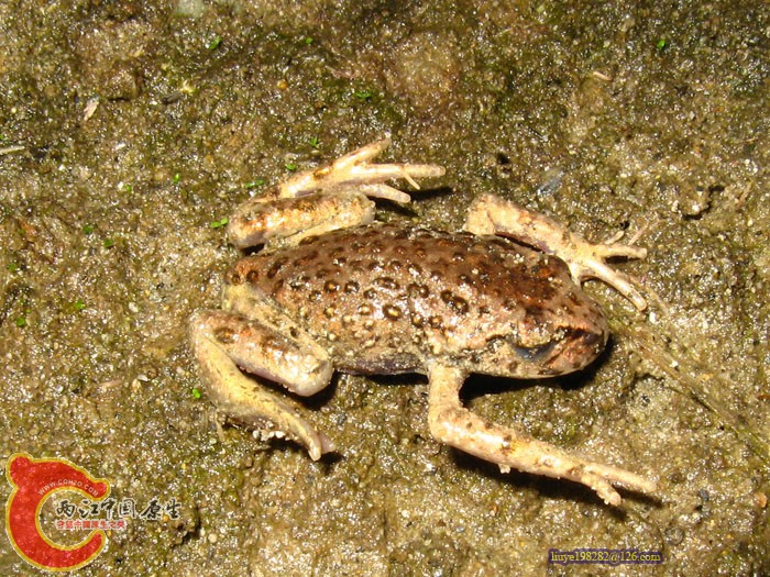 IMG (9).jpg