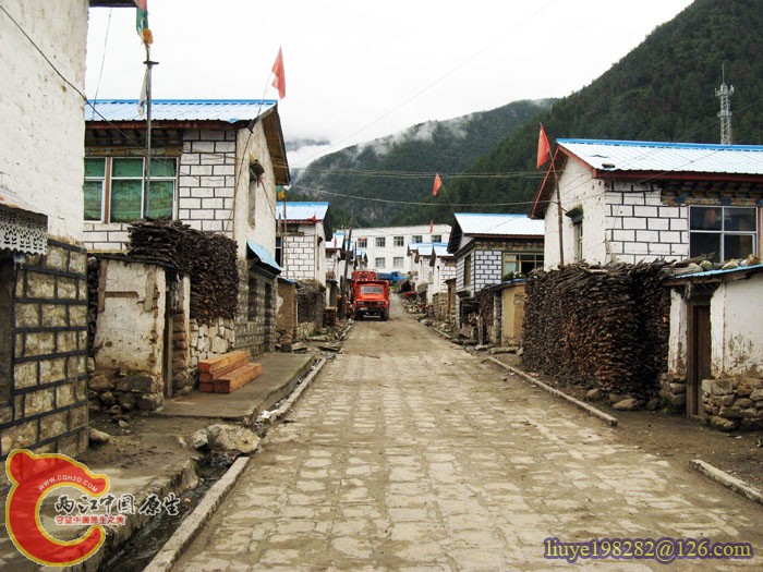 IMG (50).jpg